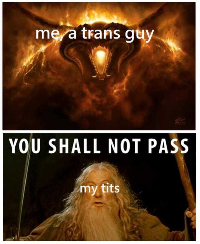 mea tFans guy YOU SHALL NOT PASS my tits
