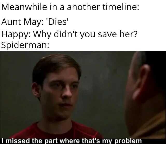 Meanwhile in a another timeline Aunt May Dies Happy Why didnt you save her Spiderman I missed the part where thats my problem