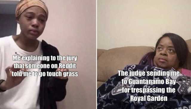 MeCxplaining to the jury thal som8one on Reddit toldmemgo touch grass The judge sendingme to Guantanamo Bay fortrespassing the Royal Garden