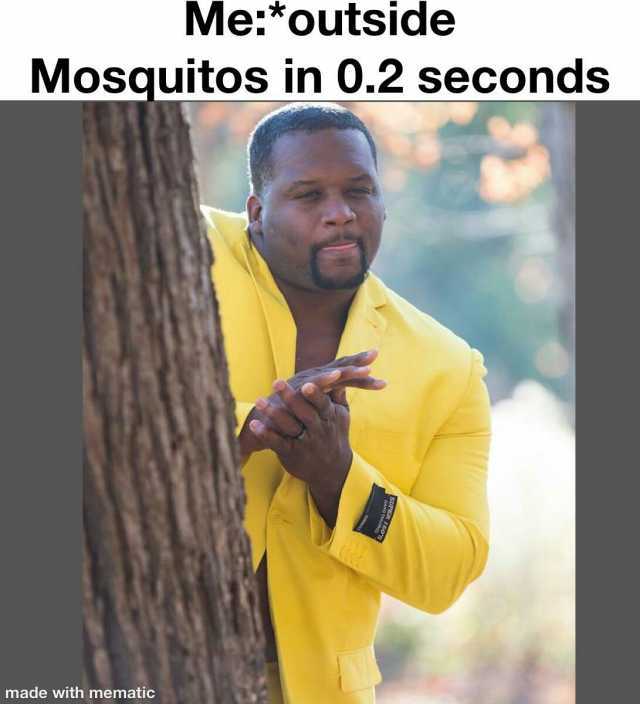 Meoutside Mosquitos in 0.2 seconds made with mematic