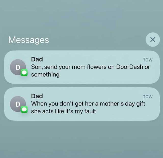 Messages D Dad Son send your mom flowers on DoorDash or something now Dad now When you dont get her a mothers day gift she actslike its my fault