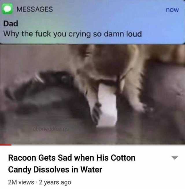 MESSAGES now Dad Why the fuck you crying so damn loud aborteddreams Racoon Gets Sad when His Cotton Candy Dissolves in Water 2M views · 2 years ago 