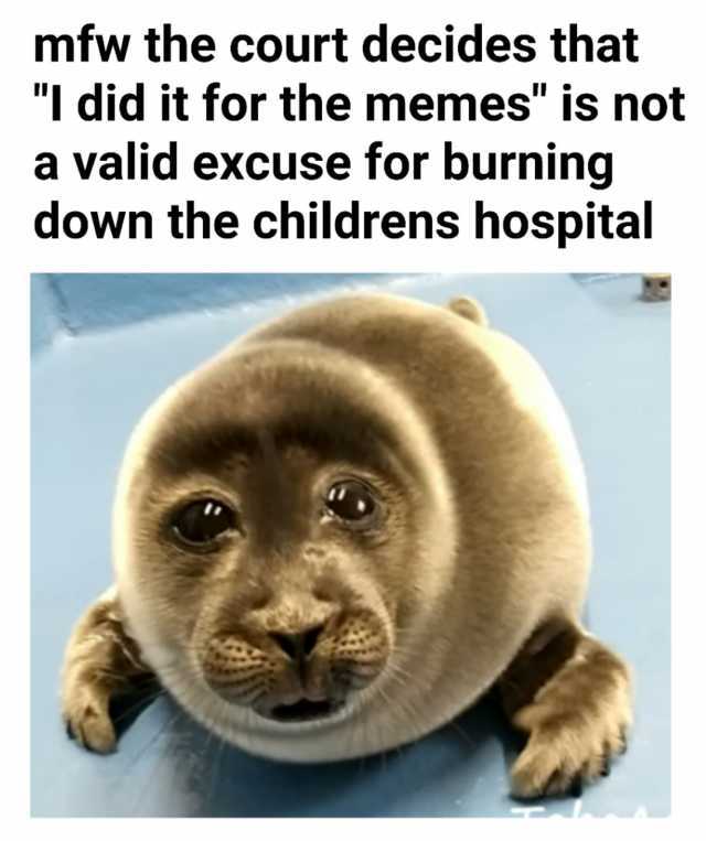 mfw the court decides that I did it for the memes is not a valid excuse for burning down the childrens hospital
