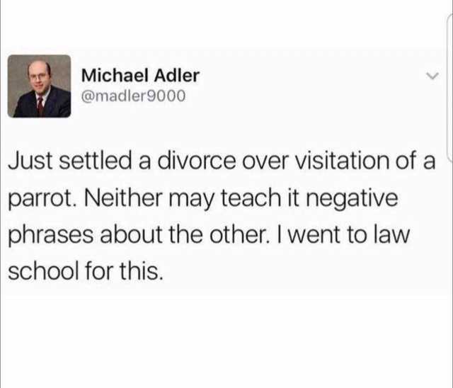 Michael Adler @madler9000 Just settled a divorce over visitation of a parrot. Neither may teach it negative about the other. I went to law for this. phrases school 