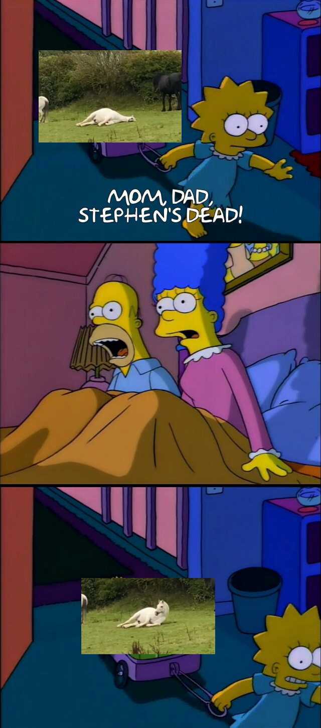 MOM DAD STEPHENS DEAD!