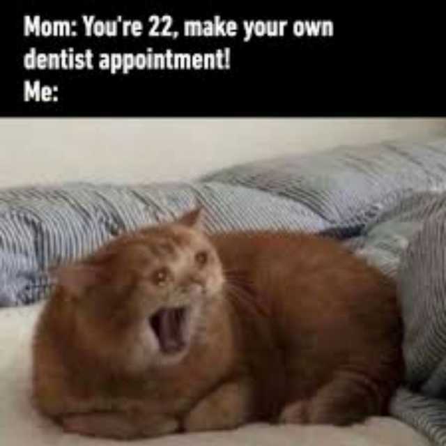 Mom Youre 22 make your own dentist appointmenti Me