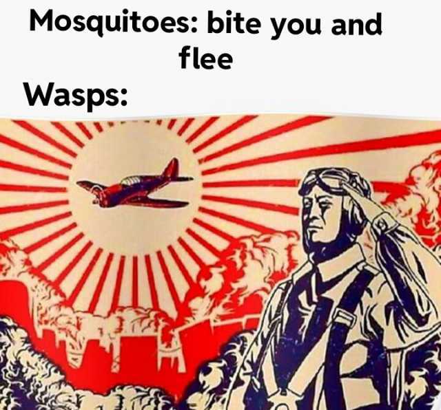 Mosquitoes bite you and flee Wasps