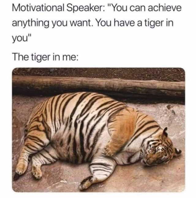 Motivational Speaker You can achieve anything you want. You have a tiger in you The tiger in me 