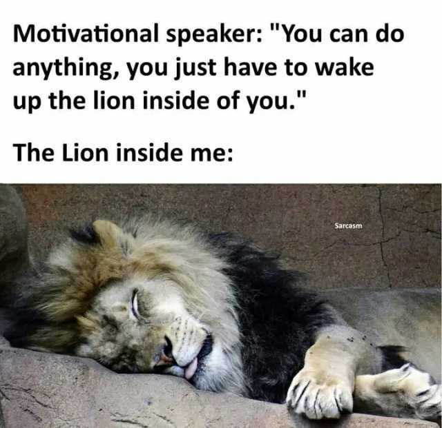 Motivational speaker You can do anything you just have to wake up the lion inside of you. The Lion inside me Sarcast