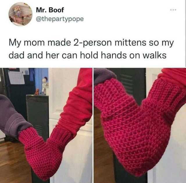 Mr. Boof @thepartypope My mom made 2-person mittens so my dad and her can hold hands on walks