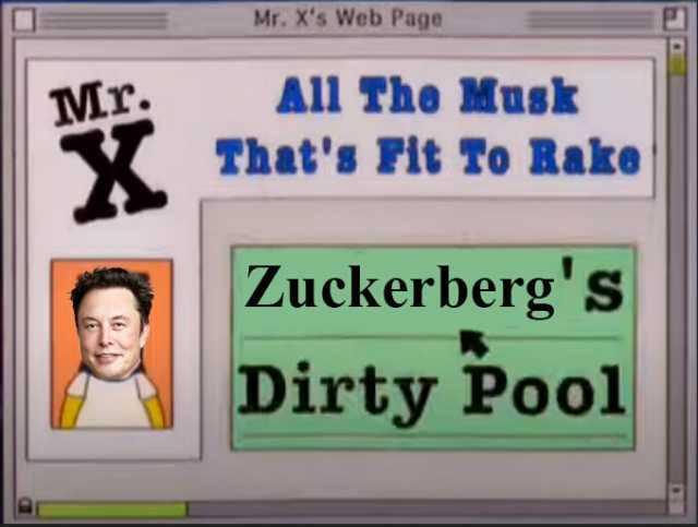 Mr. X Mr. Xs Web Page All The Musk Thats Fit To Rake Zuckerbergs Dirty Pool