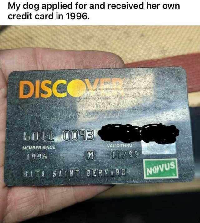My dog applied for and received her own credit card in 1996. DISCO BO1L 0093 MEMBER SINCE VALID THRU 1995 /99 1TA SIN BERNARD NODVUS