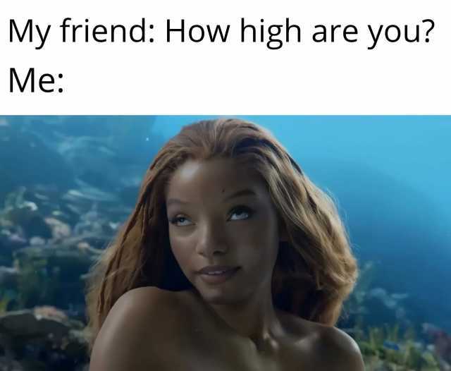 My friend How high are you Me