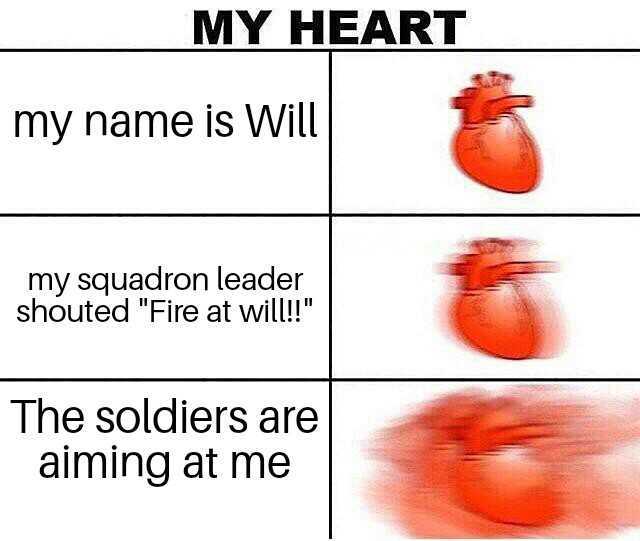 MY HEART my name is Will  my squadron leader shouted Fire at will! The soldiers are aiming at me