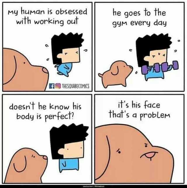 My human is obsessed with working out A@ THESOUARECOMICS doesnt he know his body is perfect! devtIMmei he goes to the gYM every day its his face thats a problem
