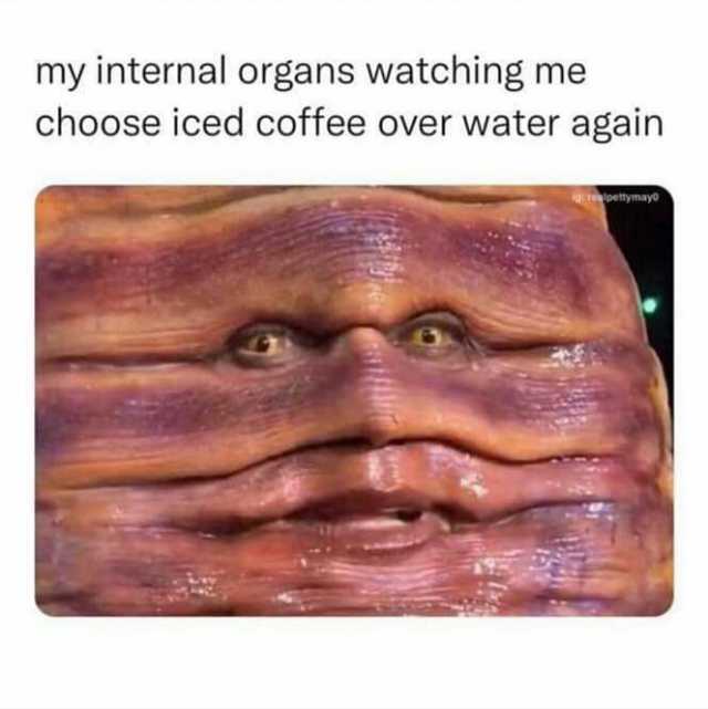 my internal organs watching me choose iced coffee over water again etymayo