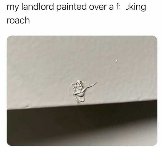 my landlord painted over a f sking roach