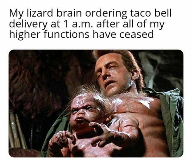 My lizard brain ordering taco bell delivery at 1 a.m. after all of my higher functions have ceased