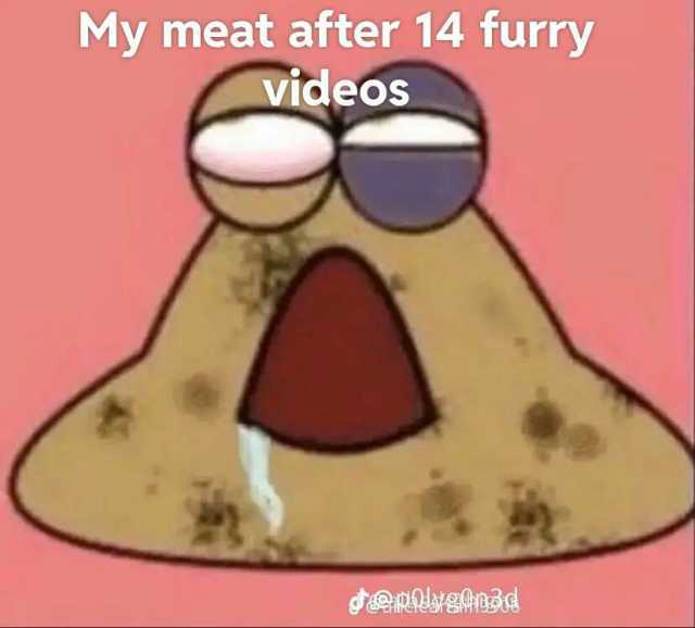 My meat after 14 furry videos