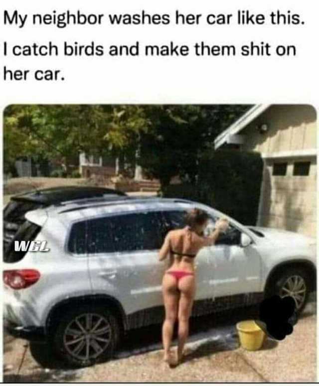 My neighbor washes her car like this. I catch birds and make them shit on her car. WEL