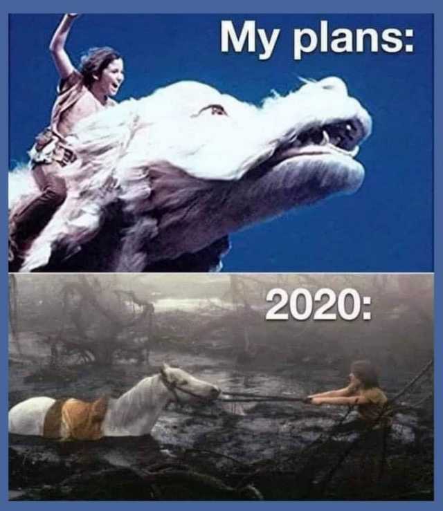 My plans 2020 