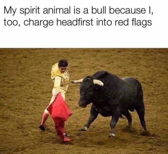My spirit animal is a bull because I too charge headfirst into red flags 