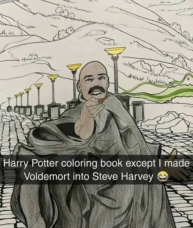 N Harry Potter coloring book except made Voldemort into Steve Harvey