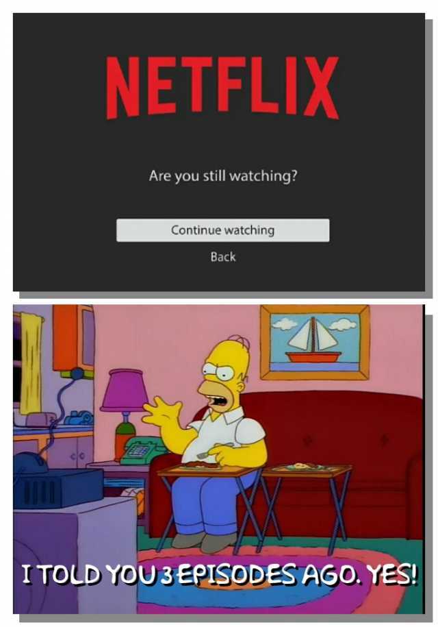 NETFLIX Are you still watching Continue watching Back I TOLD YOU3EPISODES AGO. YES!