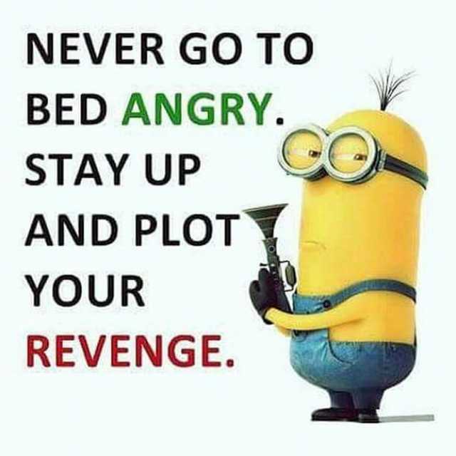 NEVER GO TO BED ANGRY. STAY UP AND PLOT YOUR REVENGE.
