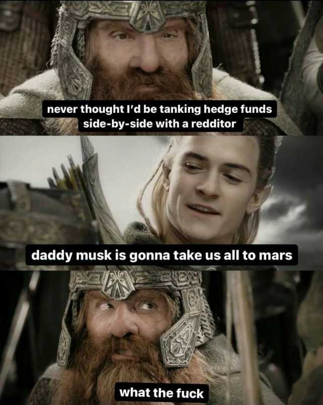 never thought ld be tanking hedge funds side-by-side with a redditor daddy musk is gonna take us all to mars what the fuck