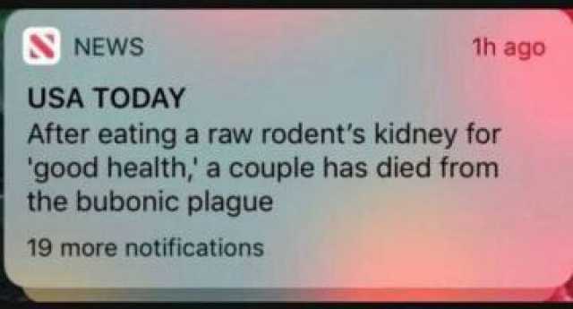 NEWS 1h ago USA TODAY After eating a raw rodents kidney for good health a couple has died from the bubonic plague 19 more notifications