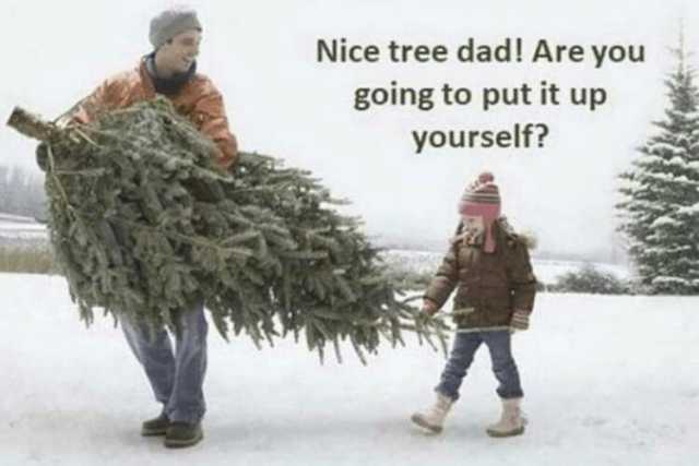Nice tree dad! Are you going to put it up yourself