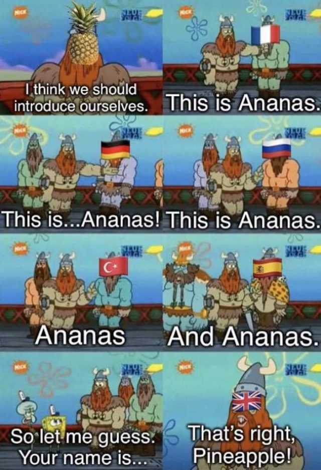 NICK NEU NICK I think we should introduce ourselves. This is Ananas. This is...Ananas! This is Ananas. Ananas And Ananas. NEUE Thats right Pineapple! So let me gues. Your name is... 