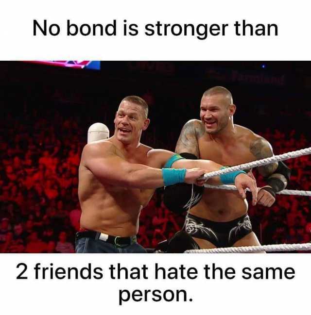 No bond is stronger than 2 friends that hate the same person 