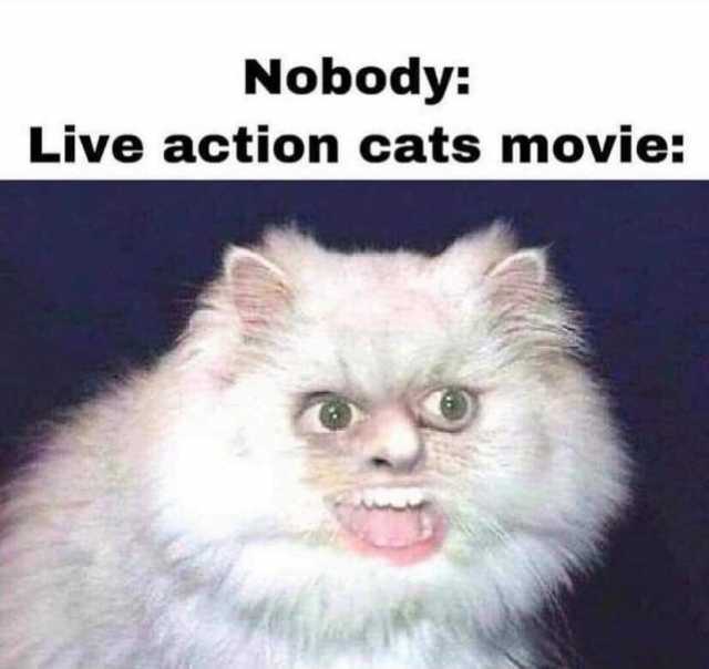 Nobody Live action cats movie 