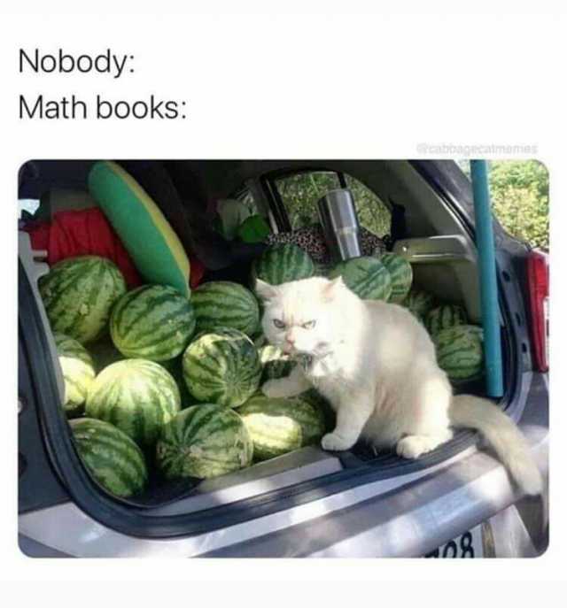 Nobody Math books cabbagecalmemmes