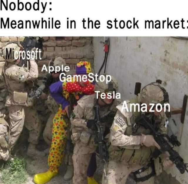Nobody Meanwhile in the stock market Miorosoft Apple GameStop. Tesla Amazon TCCC 