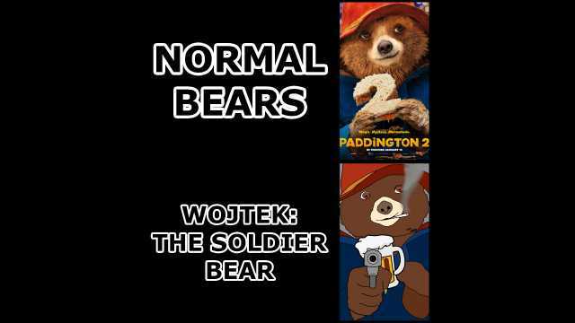 NORMAL BEARS Magic. Mystery. Marmalade. PADDINGTON 2 IN THEATERS JANUARY 12 WOJTEK3 THE SOLDIER BEAR RU