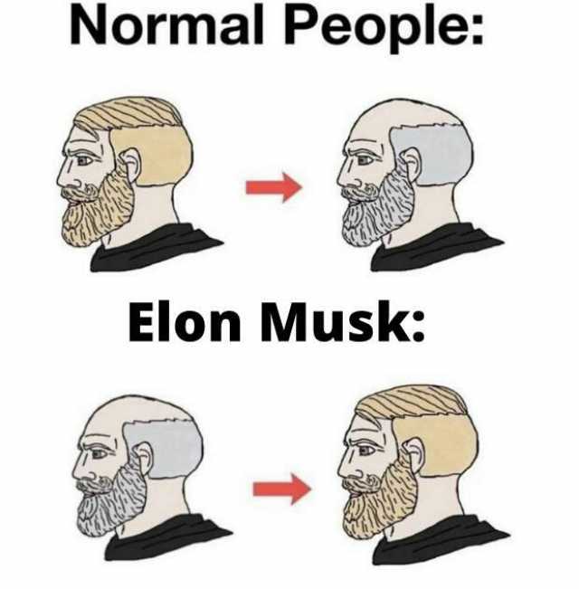 Normal People Elon Musk