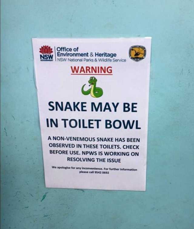 NSW office of Environment & Heritage INSW National Parks & Widife Service WARNING SNAKE MAY BE IN TOILET BOWL A NON-VENEMOUS SNAKE HAS BEEN OBSERVED IN THESE TOILETS. CHECK BEFORE USE. NPWS IS WORKING ON RESOLVING THE ISSUE We apo