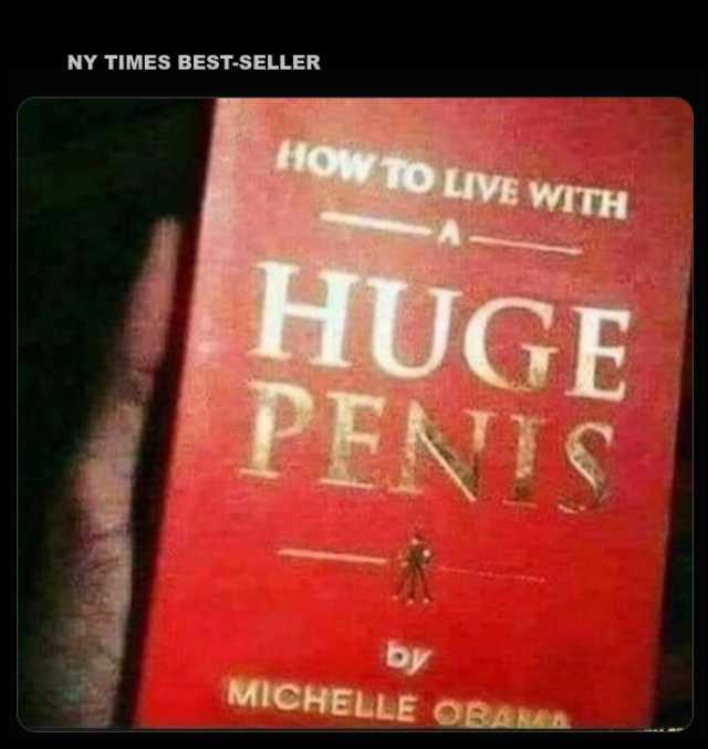 NY TIMES BEST-SELLER HOW TO LIVE WITH HUGE PENIS by MICHELLE OBAA