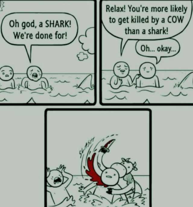 Oh god a SHARK! Were done for! Relax! Youre more likely to get killed by a COW than a shark! Oh.. okay.