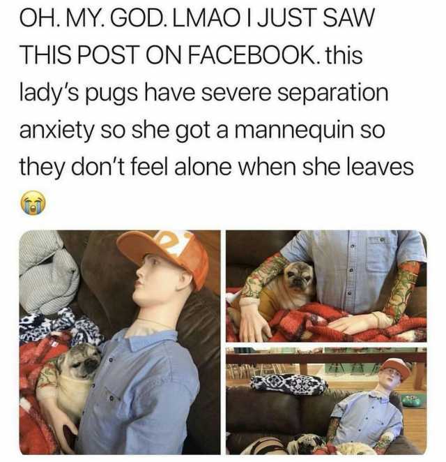 OH. MY. GOD. LMAOIJUST SAW THIS POST ON FACEBOOK. this ladys pugs have severe separation anxiety sO she got a mannequin so they dont feel alone when she leaves