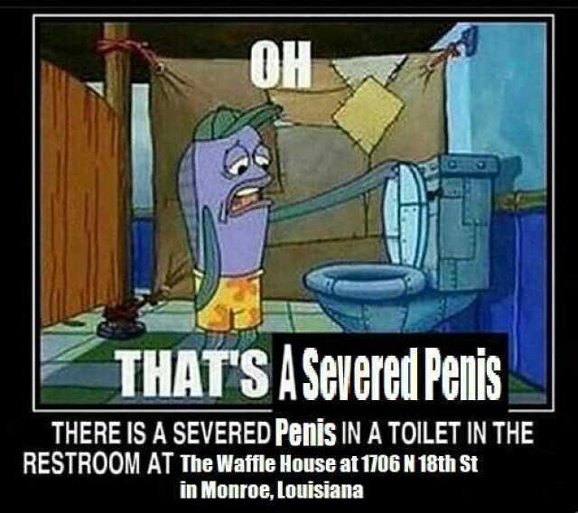 OH THATS ASerered Penis THERE IS A SEVERED Penis IN A TOILET IN THE RESTROOM AT The Watle House al 1706N 18th St in Monroe louisiana