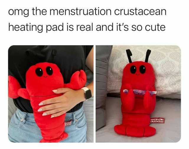 omg the menstruation crustacean heating pad is real and its so cute RUSTAE MENSTRUAION CROSIAeEAN