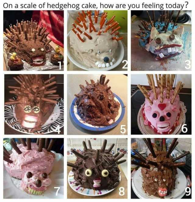 On a scale of hedgehog cake how are you feeling today J 6