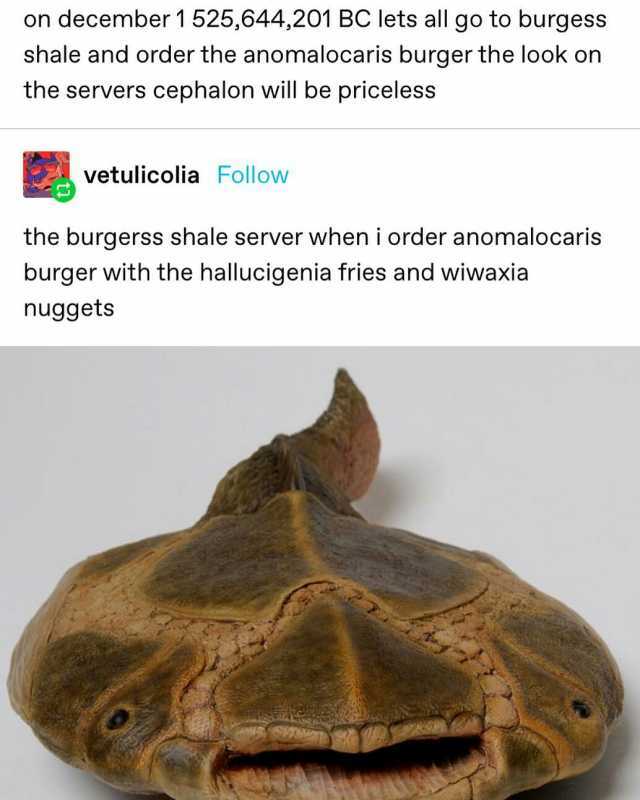 on december 1 525644201 BC lets all go to burgess shale and order the anomalocaris burger the look on the servers cephalon will be priceless vetulicolia FollowN the burgerss shale server when i order anomalocaris burger with the h