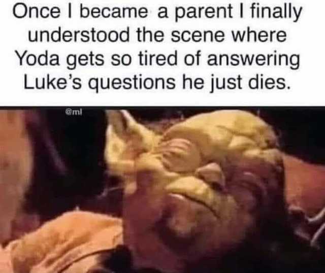 Once I became a parent I finally understood the scene where Yoda gets so tired of answering Lukes questions he just dies. @ml