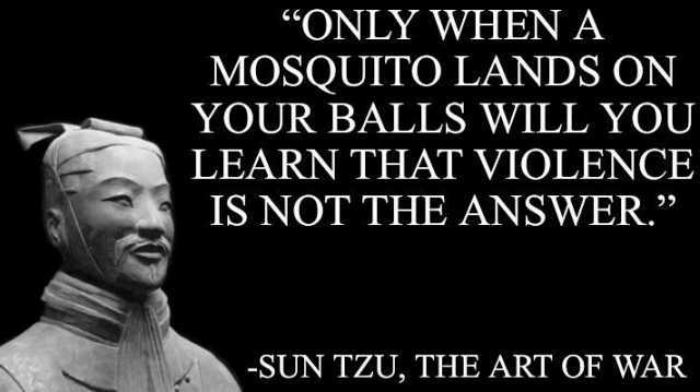 ONLY WHEN A MOSQUITO LANDS ON YOUR BALLS WILL YOU LEARN THAT VIOLENCE IS NOT THE ANSWER. -SUN TZU THE ART OF WAR