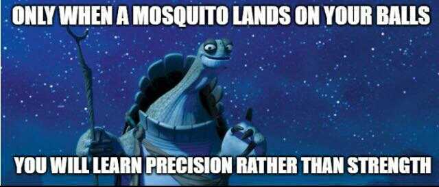 ONLY WHEN A MOSQUITO LANDS ON YOUR BALLS YOU WILL LEARN PRECISION RATHER THAN STRENGTH